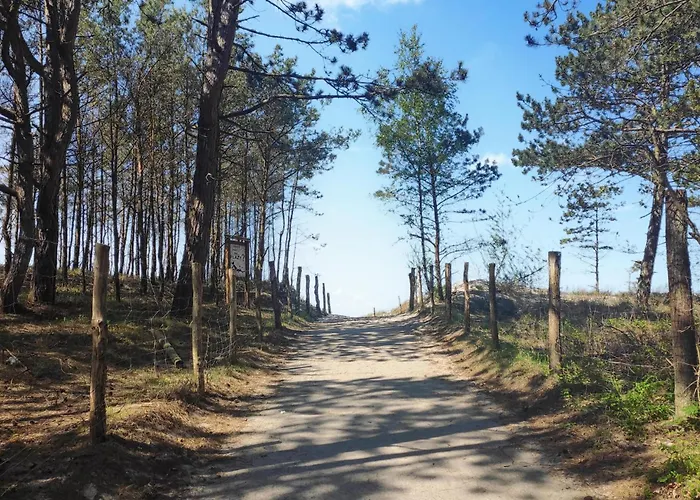 Vakantiehuis In With Wifi